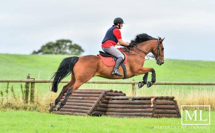 Mac Happy On Hack Up and Happy Competing at S&G Equestrian